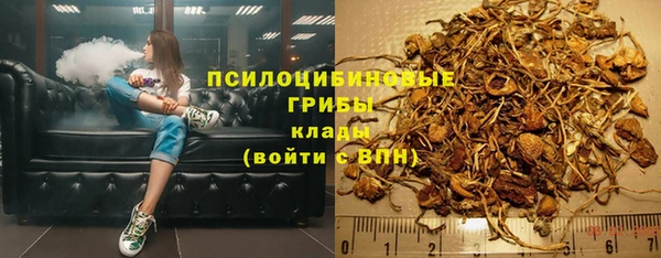 ешки Богородск