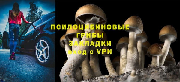 mdma Богданович