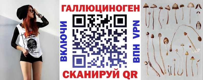 купить наркоту  Будённовск  Псилоцибиновые грибы прущие грибы 